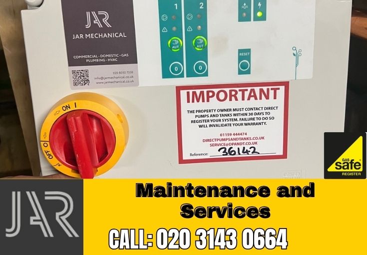 Domestic Maintenance and Services Kew